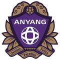FC Anyang U18 Logo