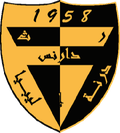 Darnes Logo