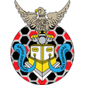 GD Fontinhas Logo