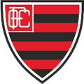 Runner up logo
