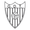 Tourizense Logo