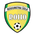 NS Roho Vbo Logo