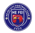 Hefei City FC Logo