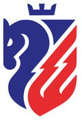 Botosani women Logo