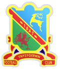 Ynysgerwn Logo