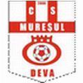Muresul Deva Logo
