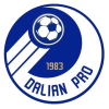 ต้าเหลียน โปรเฟสชันแนล U17 Logo