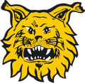 Ilves Logo