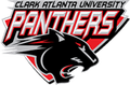 Atlanta Panthers (w) Logo