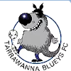 Taravana Blue Logo