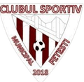 CSM Fetesti Logo