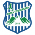 Bursa Yildirimspor U19 Logo