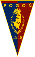 Pogon Szczecin U19 Logo