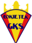 Lokietek Brzesc Kujawski Logo