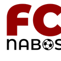 nabo Logo