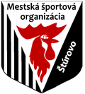 MSO Sturovo Logo