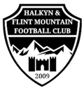 Flint Mountain Logo