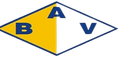 Bella Vista Paysandu Logo