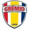 Gremio Barueri SP Logo