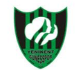 Sakarya Yenikent Gunesspor Women Logo