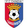 Chindia Targoviste (W) Logo