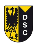 VV Diepenveen Youth Logo