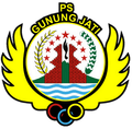 พีเอสจีเจ จิเรบอน รีเจนซี่ Logo