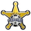 Vointa Cudalbi Logo
