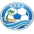 Lingao Team Logo