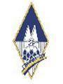 Runner up logo
