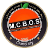 MCB Oued Sly U19 Logo