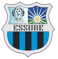Essube MG Logo