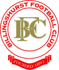 Billingshurst Logo